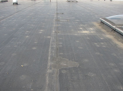 Area B Overview