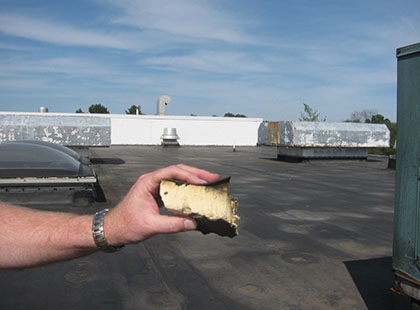 Urethane Element (typical all areas)
