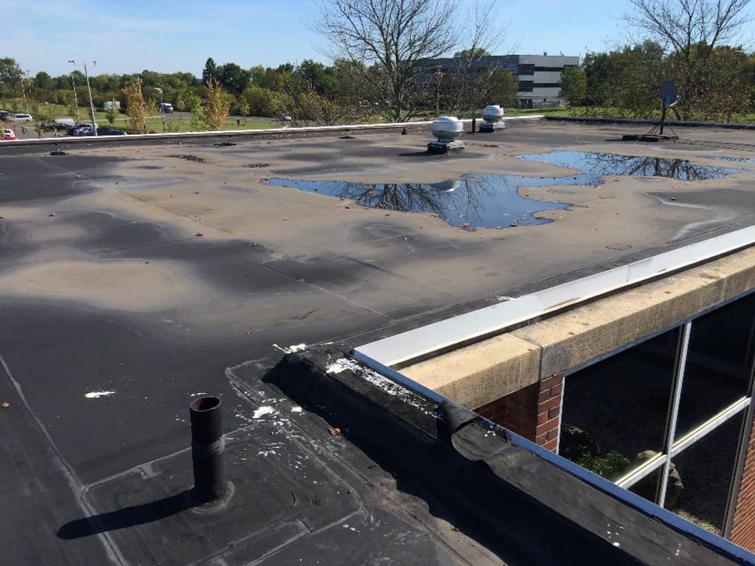 Marcolin Daylight 14