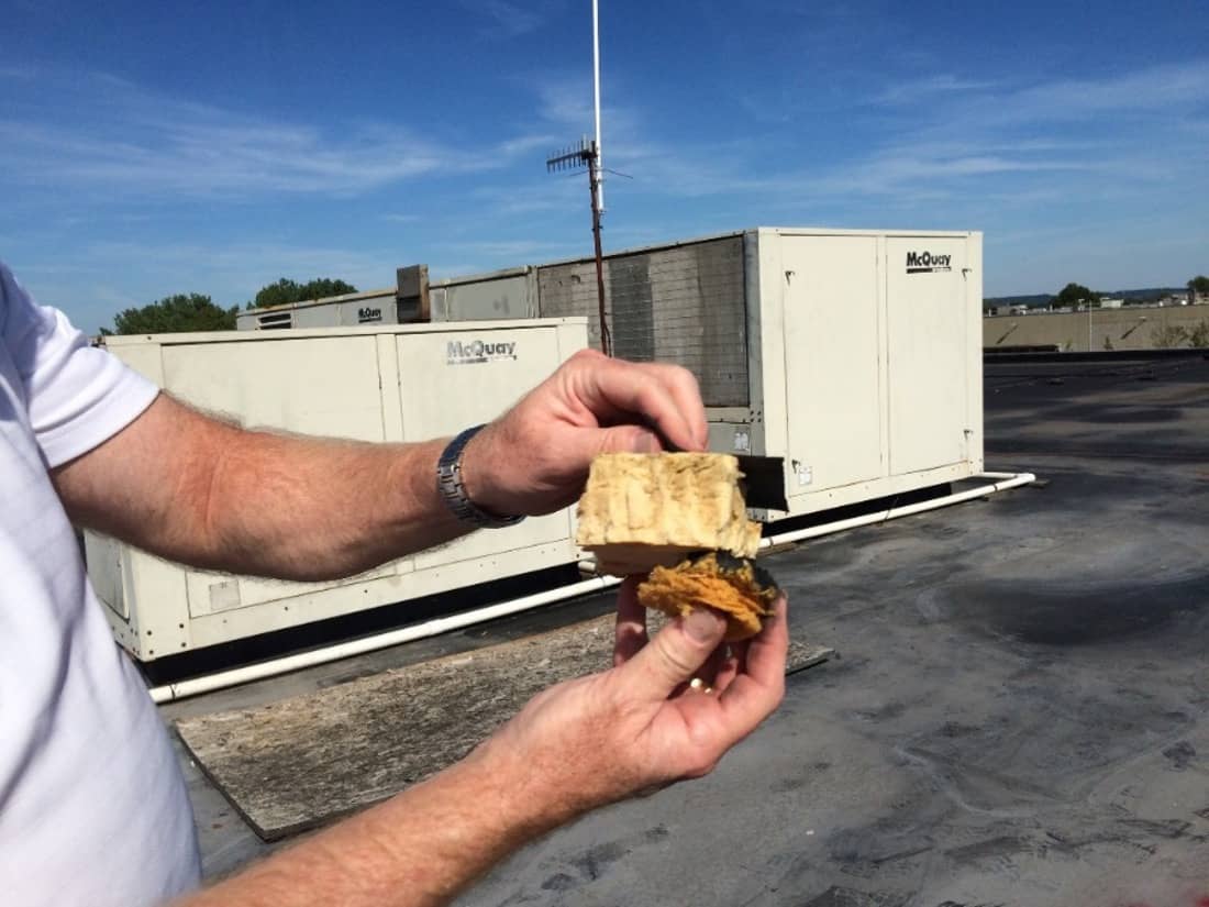 Marcolin Daylight 15