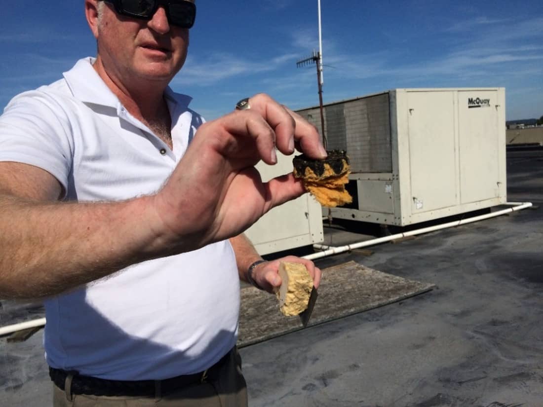 Marcolin Daylight 16