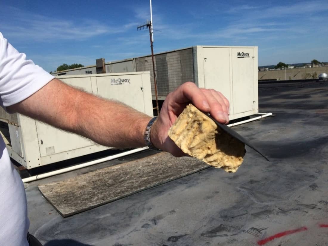 Marcolin Daylight 17