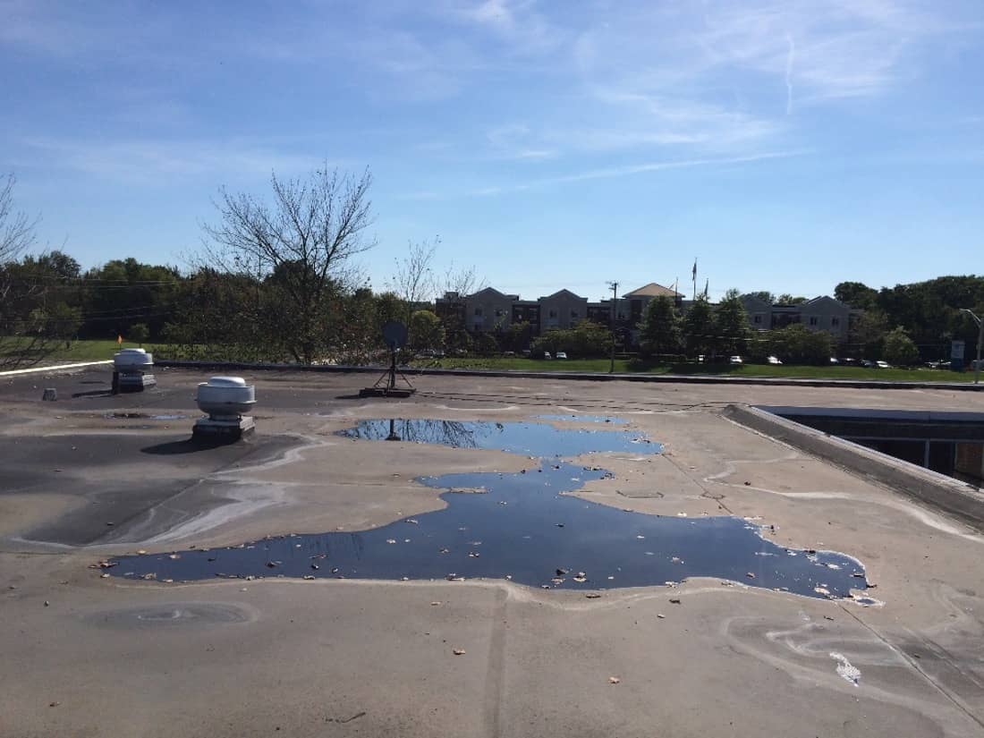 Marcolin Daylight 18