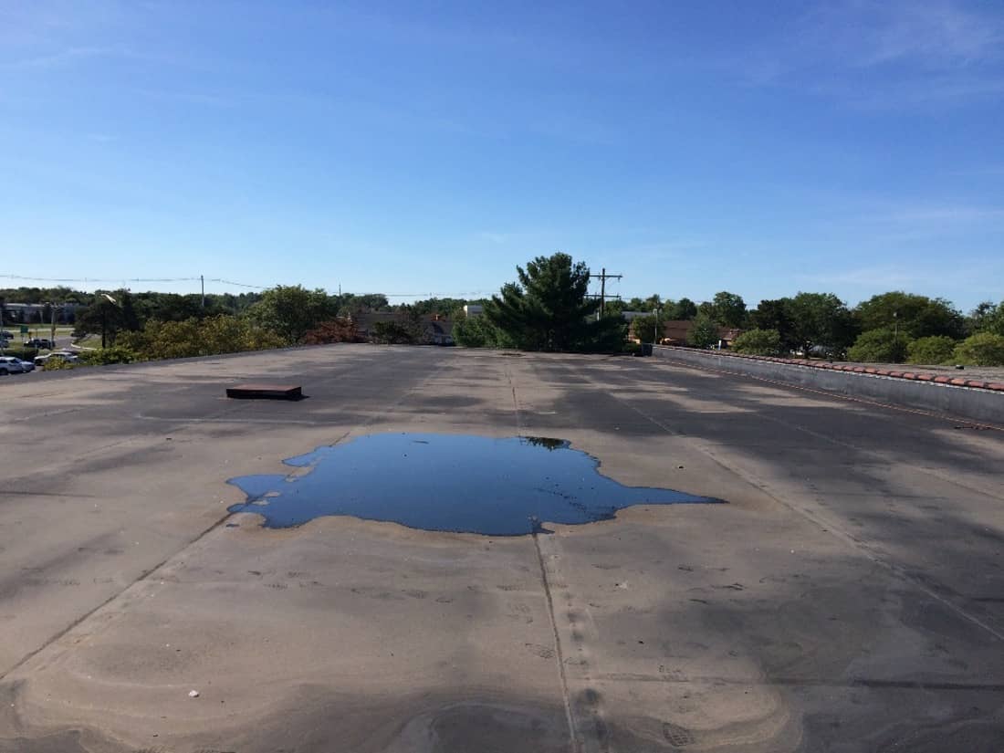 Marcolin Daylight 21