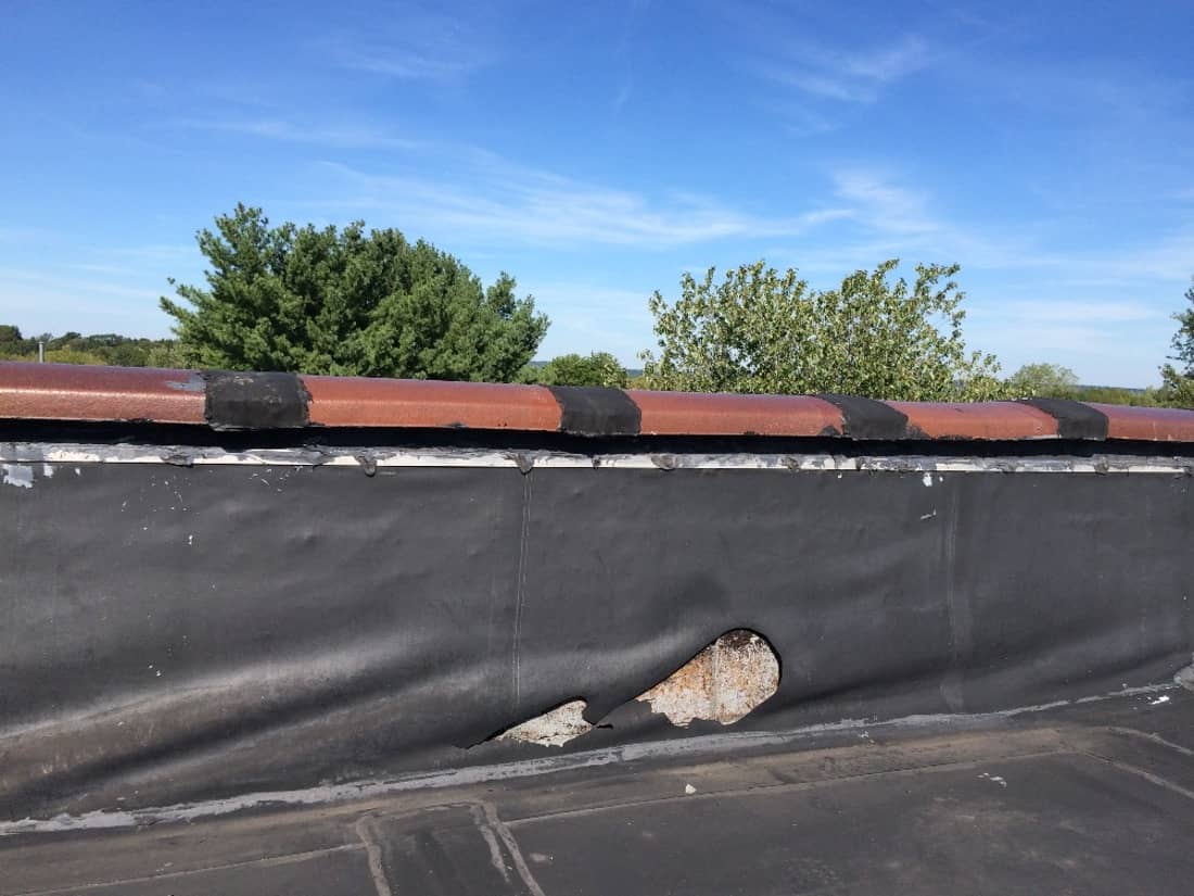 Marcolin Daylight 22