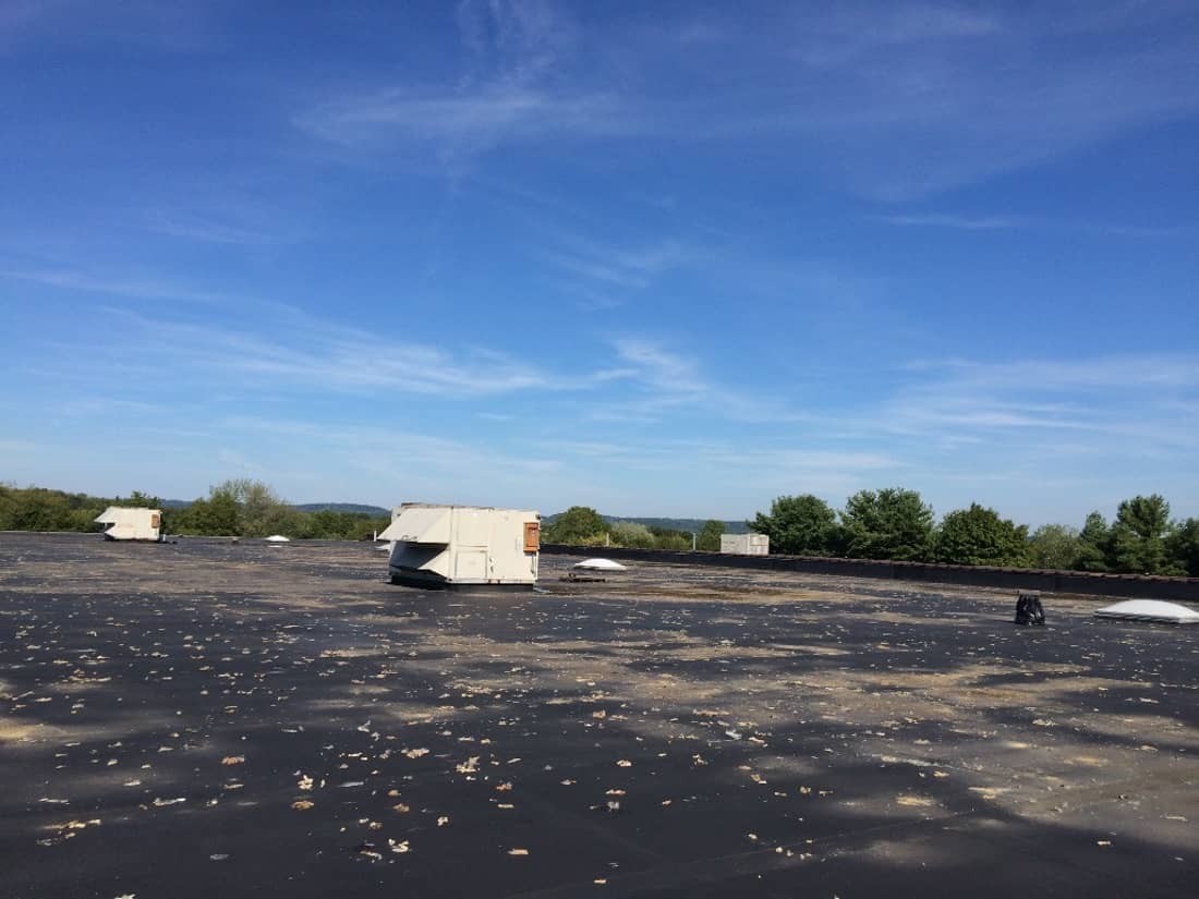 Marcolin Daylight 25