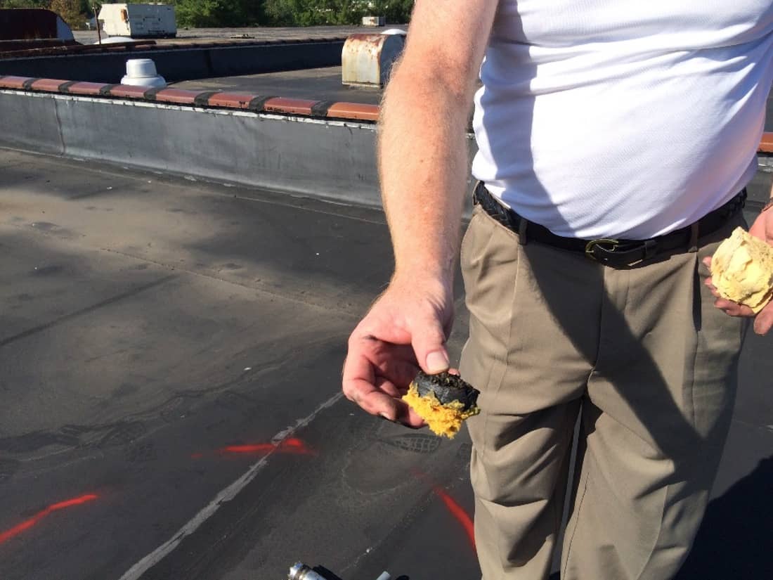 Marcolin Daylight 26