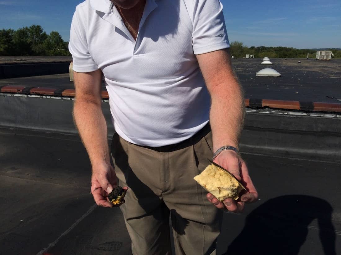 Marcolin Daylight 27