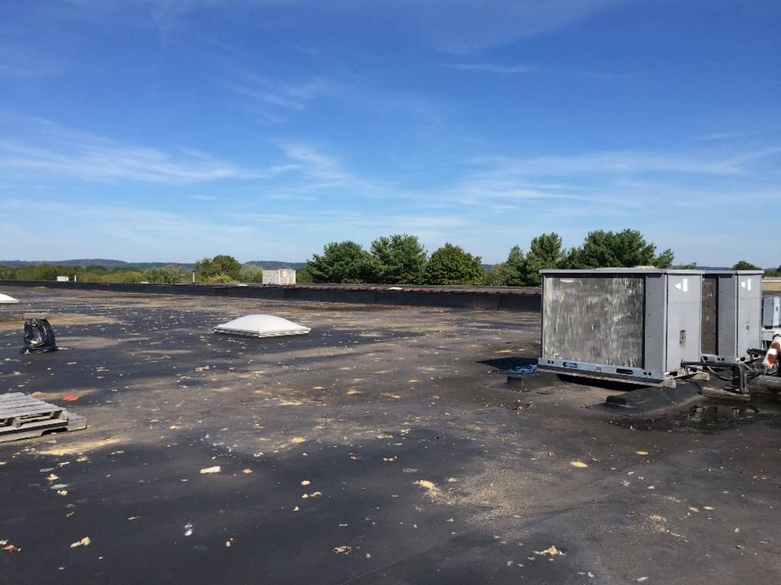 Marcolin Daylight 28