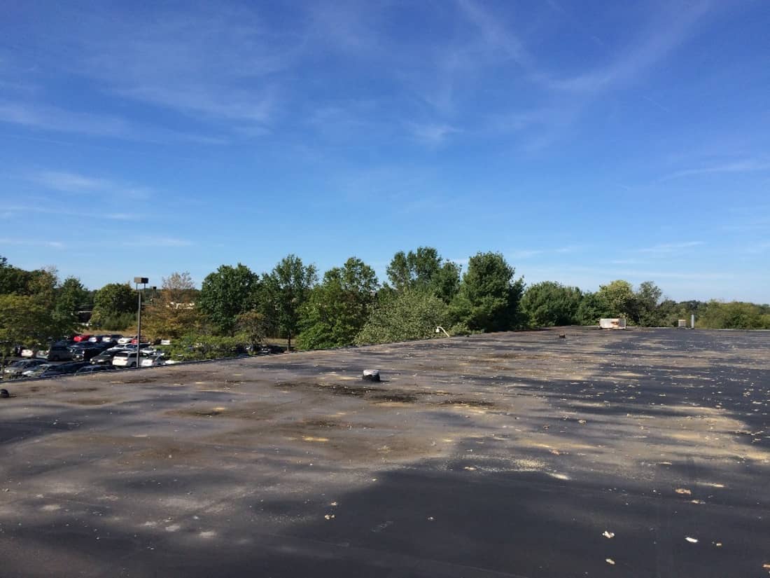 Marcolin Daylight 29