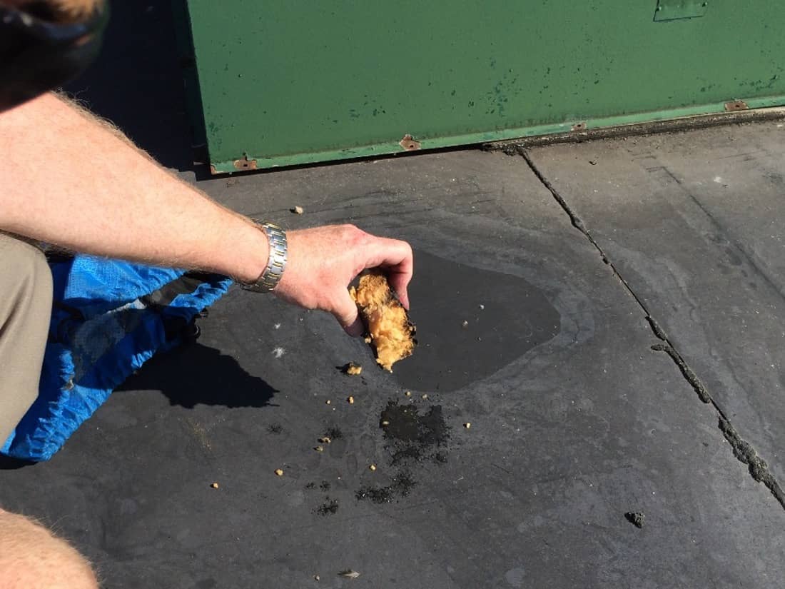 Marcolin Daylight 34