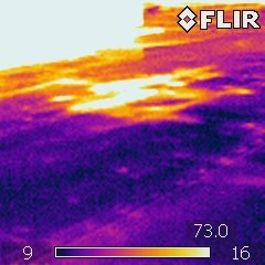 Marcolin Thermogram 11