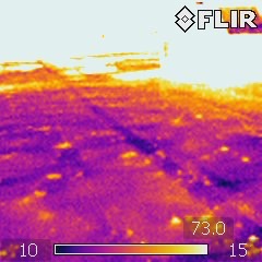 Marcolin Thermogram 49