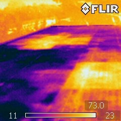 Marcolin Thermogram 59