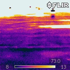 Marcolin Thermogram 64