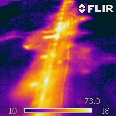Marcolin Thermogram 7