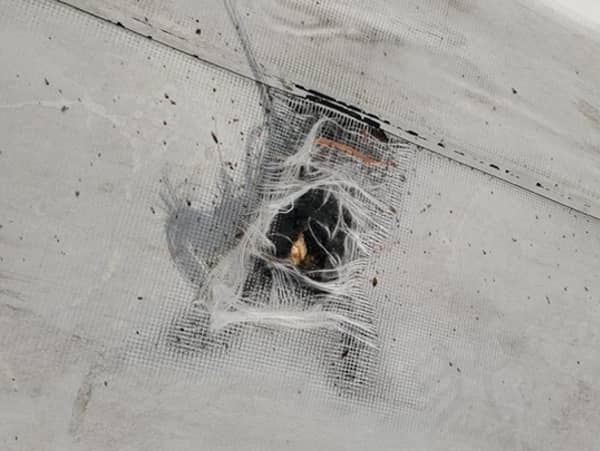 TPO membrane damage