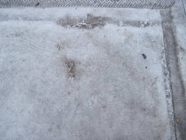TPO membrane failure