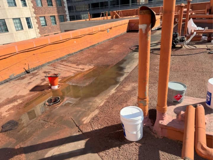 First day with the Andek rep